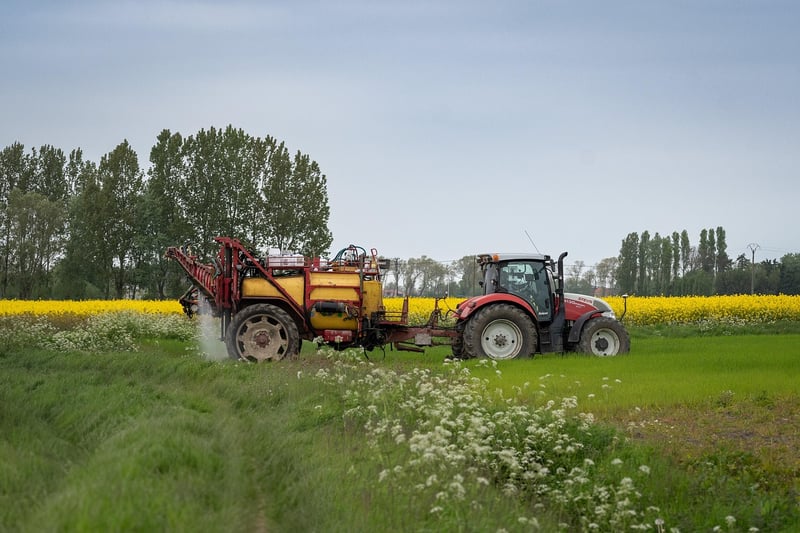 Farm-to-Table Freshness