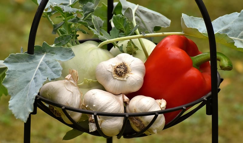 Fresh Vegetables
